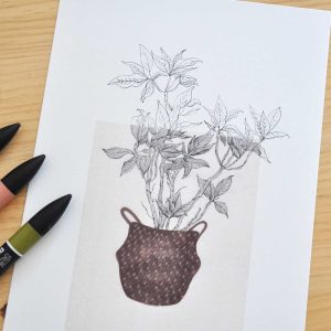 Làmina Flor de nadal – Il·lustració botànica
