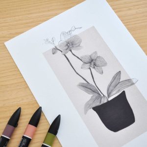 Làmina Orquídia – Il·lustració botànica
