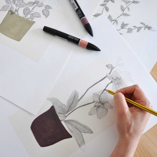 Làmina Rosa – Il·lustració botànica - Imatge 7