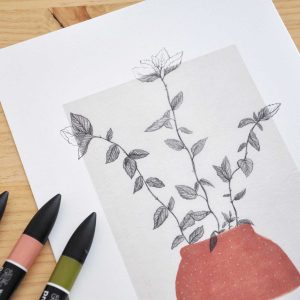 Làmina Menta – Il·lustració botànica