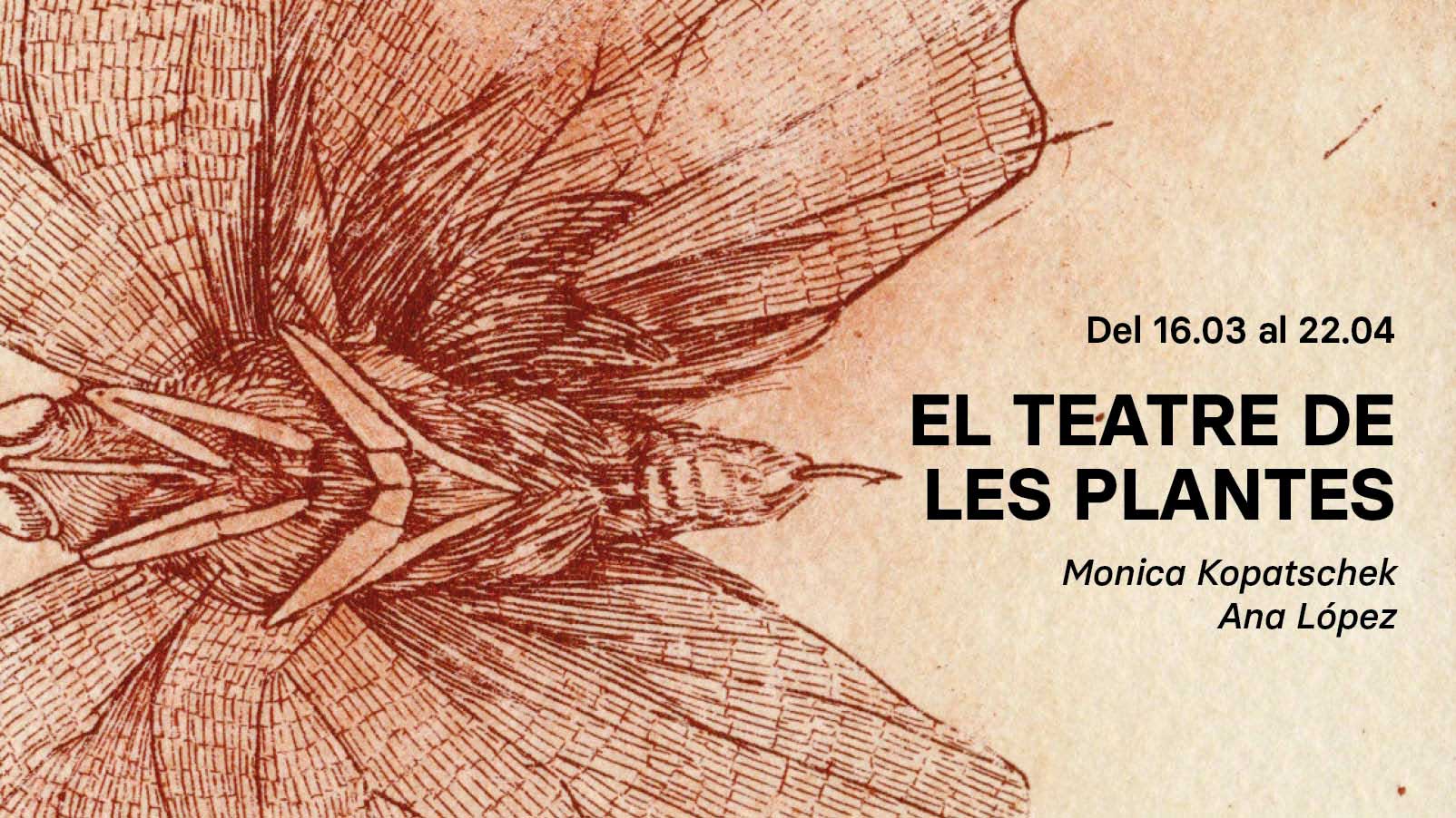 Banner-El-teatro-de-las-plantas