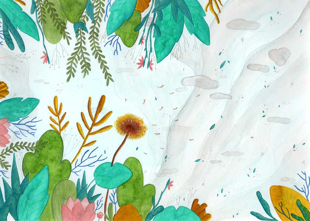 album-illustrado-ancla-2