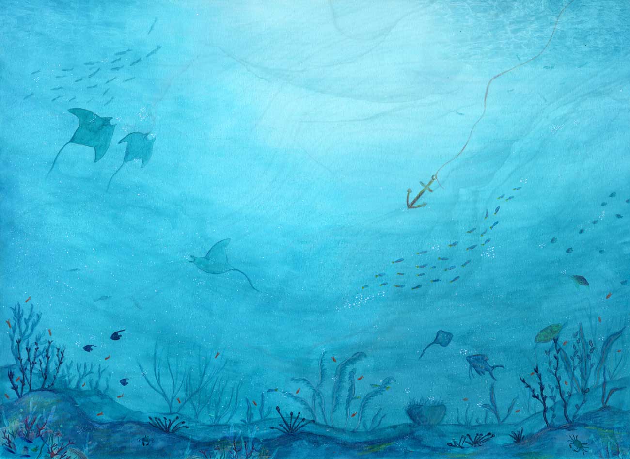 illustrated-album-anchor-3