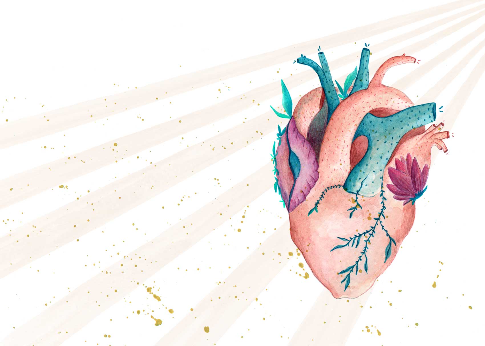 album-illustrado-ancla-5