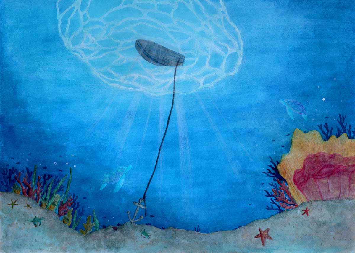 album-illustrado-ancla-6