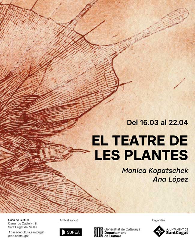 whatsapp-genérico-El-teatro-de-las-plantas6